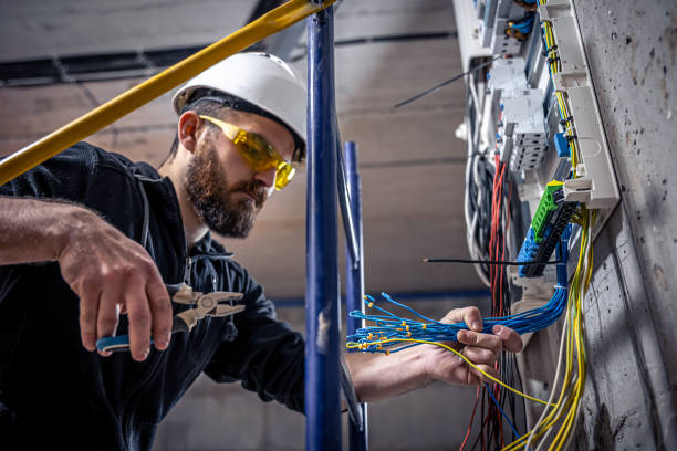 Best Electric Panel Repair  in Lake Vla, IL