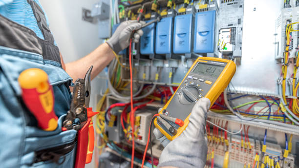 Best Electric Panel Repair  in Lake Vla, IL